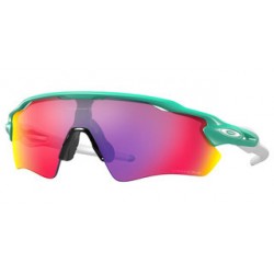 Oakley Radar EV Path 9208-C6
