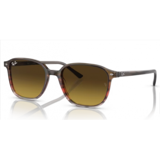 Ray-Ban 2193 138085 