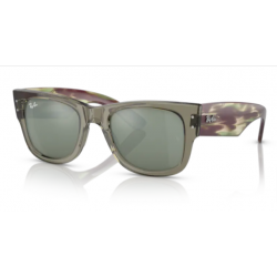 Ray-Ban 0840 66355C -