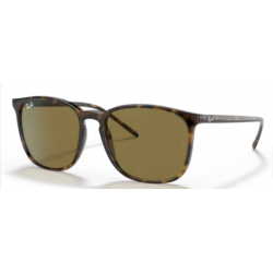 Ray-Ban 0RB4387 710/73