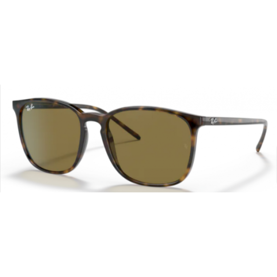 Ray-Ban 0RB4387  710/73