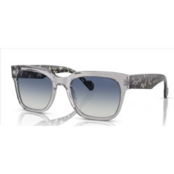 VOGUE 5490S  28204L