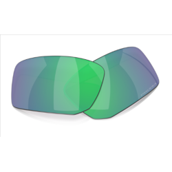 Oakley Gibston lente Prizm jade