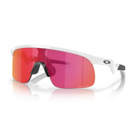 OAKLEY RESISTOR 9010-04