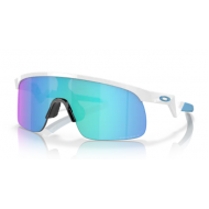 OAKLEY RESISTOR 9010-07