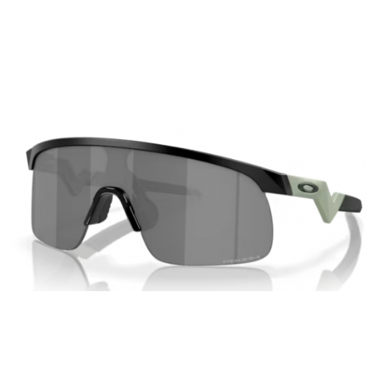 OAKLEY RESISTOR 9010-13