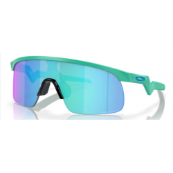 OAKLEY RESISTOR 9010-19