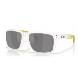 Oakley Holbrook 9102AP