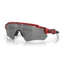 Oakley Radar EV Path 9208-D1