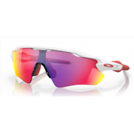 Oakley Radar EV Path 9208-05