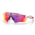 Oakley Radar EV Path 9208-05