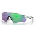Oakley Radar EV Path 9208-71