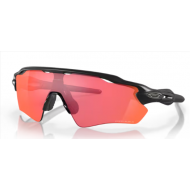 Oakley Radar EV Path 9208-90 + prizm road