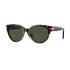 Persol 0PO3287S 24/31 51 24/31