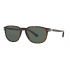 Persol 0PO3019S 24/31 55 24/31