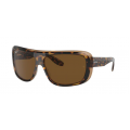 2196 Ray-Ban