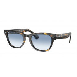 Ray-Ban 0RB2201 13323F 54 13323F