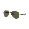 3675 Ray-Ban