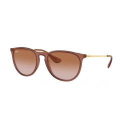 Ray-Ban 0RB4171 659013 