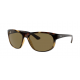 Ray-Ban 0RB4351 710/73 59 710/73 IMPORTADOS