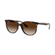 Ray-Ban 0RB4378 710/13 54 IMPORTADOS