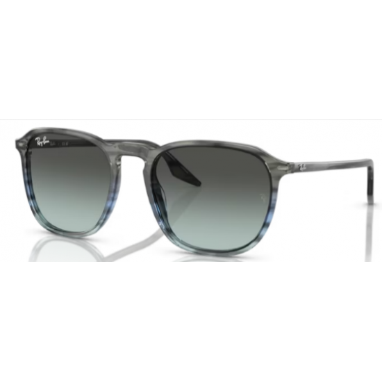 Ray-Ban 0RB 2197 1391GK