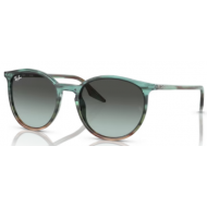 RAY-BAN 2204 1394GK