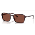 2231 Raimond