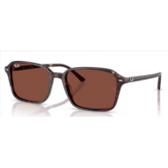 RAY_BAN SOL 2231 Raimond 1416C5 