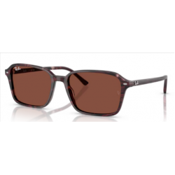 RAY_BAN SOL 2231 Raimond 1416C5 