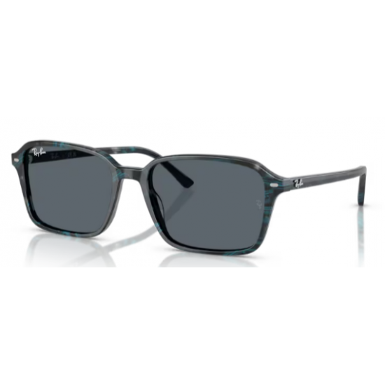 RAY_BAN SOL 2231 Raimond 1417R5 RAY_BAN SOL 2231 Raimond 1417R5