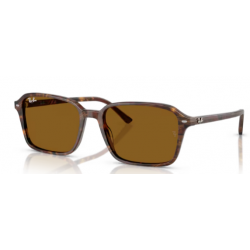 RAY_BAN SOL 2231 Raimond 141833 