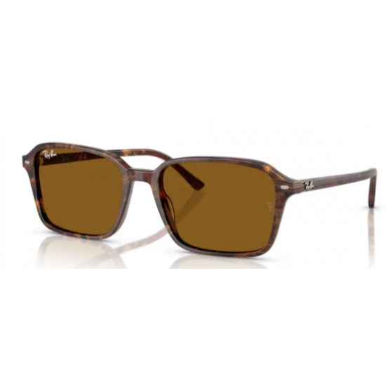 RAY_BAN SOL 2231 Raimond 141833 RAY_BAN SOL 2231 Raimond 141833