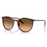 RAY-BAN 2204 14293B