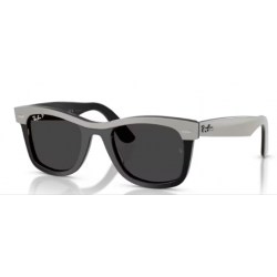 2240 Wayfarer 144248 