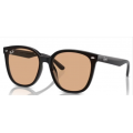 4392D RAY-BAN