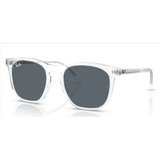 RAY-BAN 0RB2210 6447R5