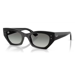 RAY-BAN SOL 4430 ZENA 667711 