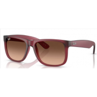 Ray-Ban Justin 4165 6815A5