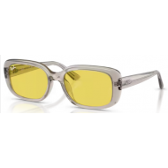 RAY-BAN SOL 4421 681885