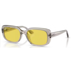 RAY-BAN SOL 4421 681885