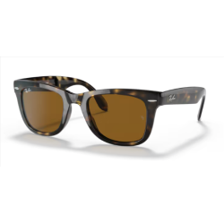 Folding Wayfarer 4105 710