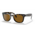 Folding Wayfarer 4105 710