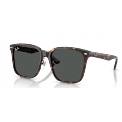 2206 RAY-BAN 710/87