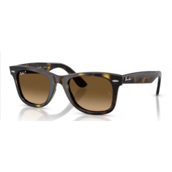 Ray-Ban 4340 710/M2