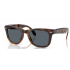 Folding Wayfarer 4105 710/R5