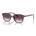 RayBan Junior  9070S