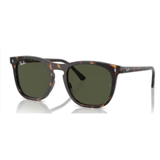 RAY-BAN 0RB2210 902/31