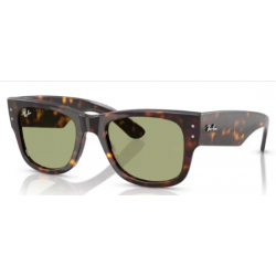 Ray-Ban 0840 902/4E