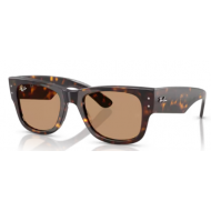 Ray-Ban 0840 902/53